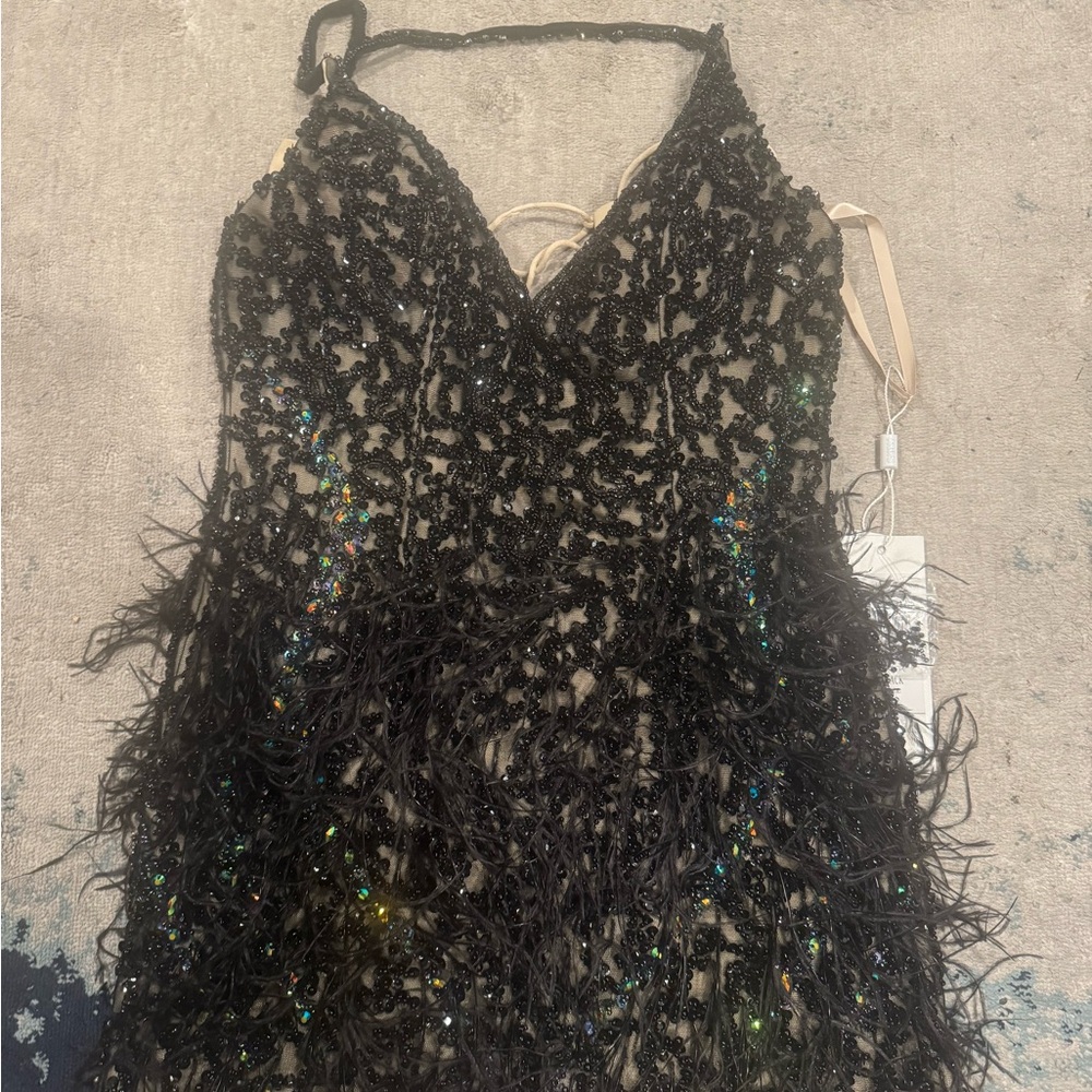Black Sequin and Feather Dress